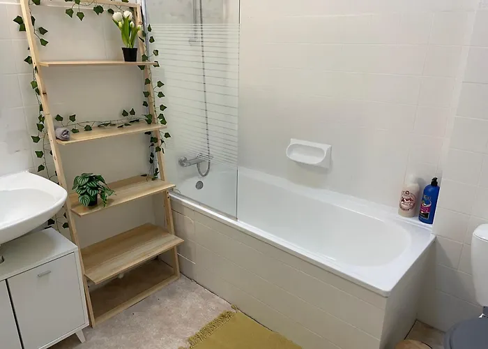 Des Remparts De * Carcassonne